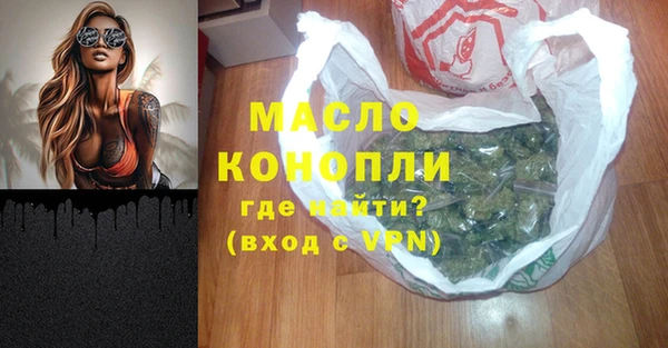 хмурый Пересвет