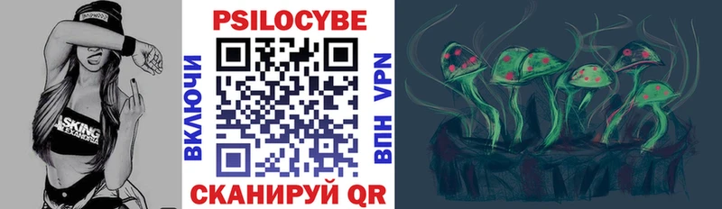 цена наркотик hydra ТОР Псилоцибиновые грибы ЛСД Сортавала